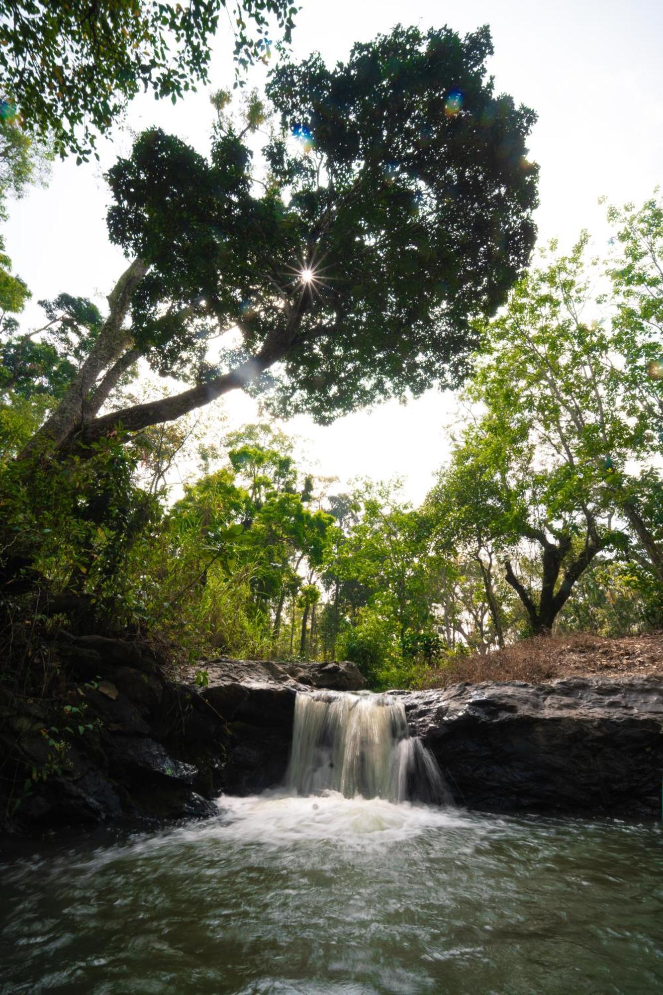 Kingmaker'S Plantation With River Stream Madikeri Exterior foto